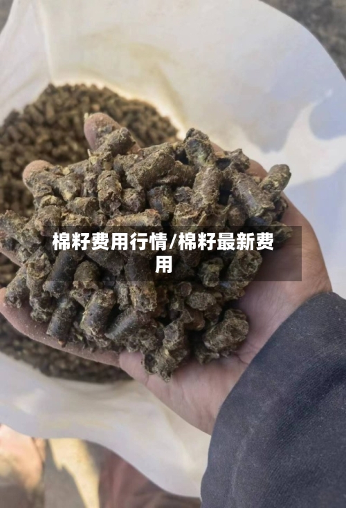 棉籽费用行情/棉籽最新费用-第2张图片