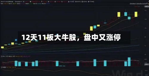 12天11板大牛股，盘中又涨停-第3张图片