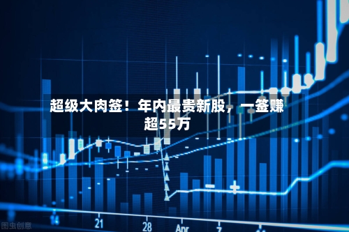 超级大肉签！年内最贵新股，一签赚超55万-第2张图片