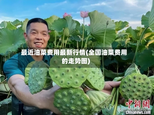 最近油菜费用最新行情(全国油菜费用的走势图)-第3张图片