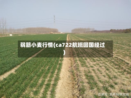 弱筋小麦行情(ca722航班回国经过)