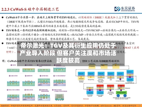 帝尔激光：TGV及其衍生应用仍处于产业导入阶段 但客户关注度和市场活跃度较高