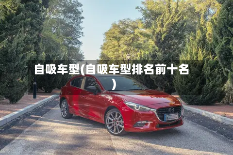 自吸车型(自吸车型排名前十名)-第2张图片