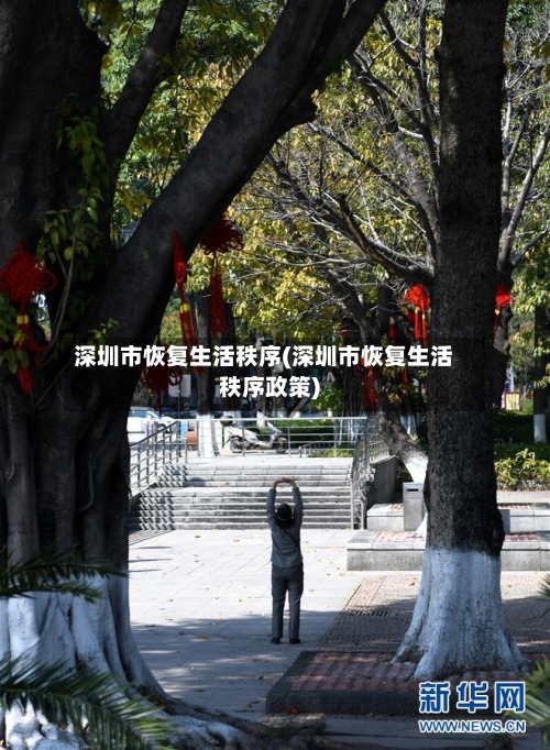 深圳市恢复生活秩序(深圳市恢复生活秩序政策)-第2张图片