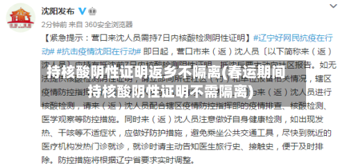 持核酸阴性证明返乡不隔离(春运期间持核酸阴性证明不需隔离)-第3张图片