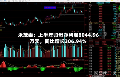 永茂泰：上半年归母净利润8044.96万元	，同比增长306.94%-第2张图片