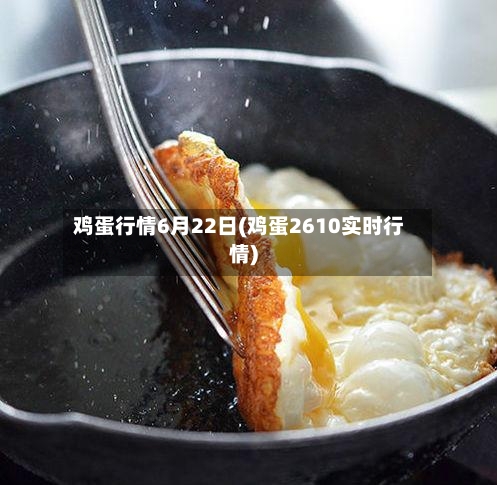 鸡蛋行情6月22日(鸡蛋2610实时行情)-第2张图片