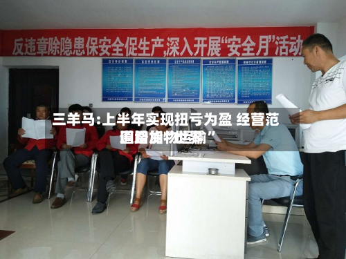 三羊马:上半年实现扭亏为盈 经营范围增加“世界道路货物运输”-第2张图片