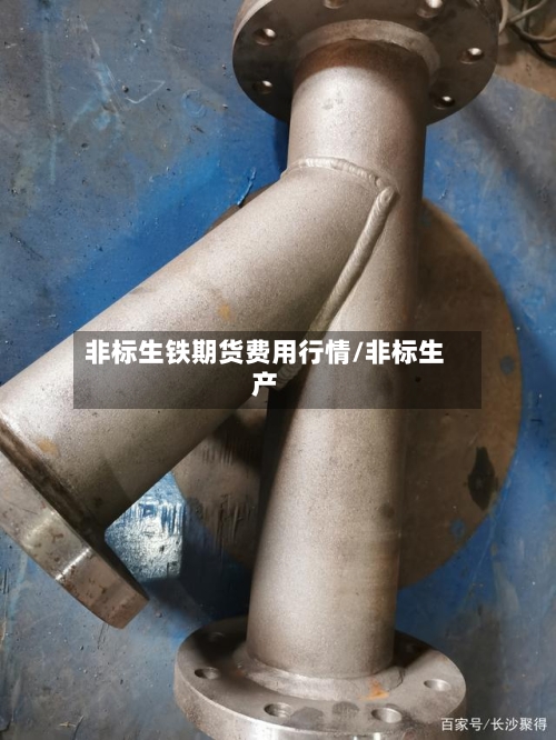 非标生铁期货费用行情/非标生产