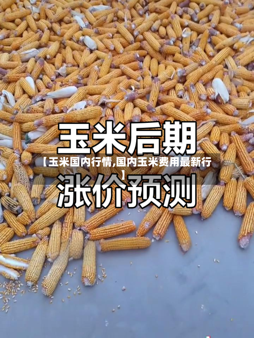 【玉米国内行情,国内玉米费用最新行】