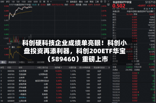 科创硬科技企业成绩单亮眼！科创小盘投资再添利器，科创200ETF华宝（589460）重磅上市-第2张图片
