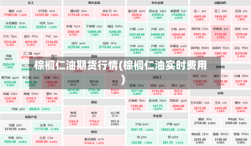 棕榈仁油期货行情(棕榈仁油实时费用)-第2张图片