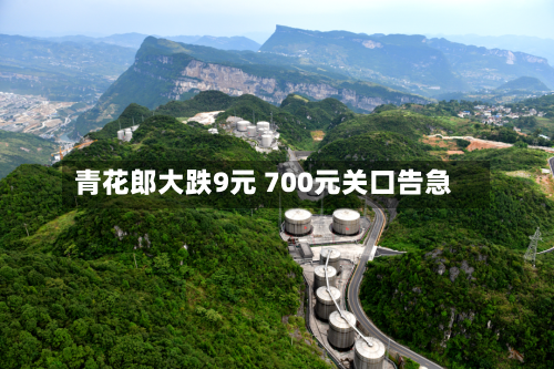 青花郎大跌9元 700元关口告急-第2张图片