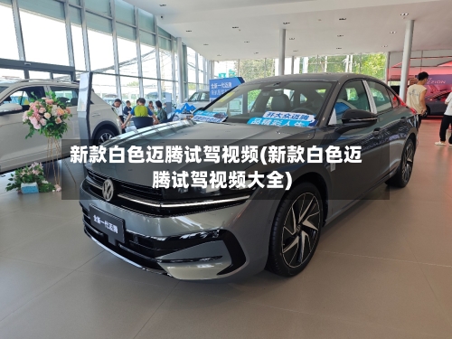 新款白色迈腾试驾视频(新款白色迈腾试驾视频大全)