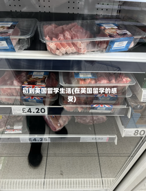 初到英国留学生活(在英国留学的感受)-第2张图片